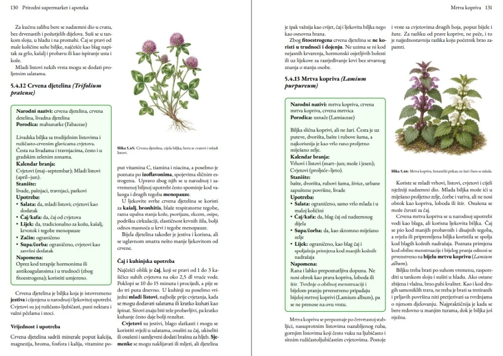Actual two-page book spread for recognizing useful plants