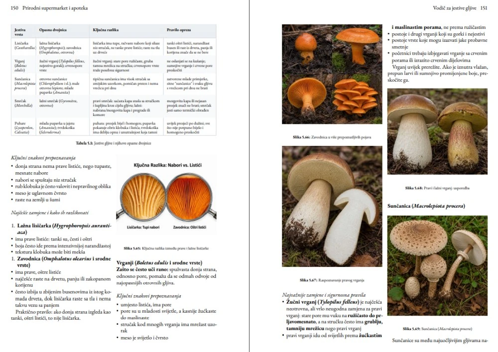 Actual two-page book spread for identifying edible mushrooms